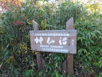 ニセコ神仙沼湿地 (4)